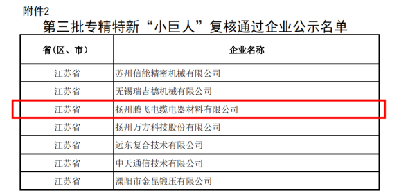 喜讯！扬州腾飞成功通过国家级专精特新“小巨人”企业复核